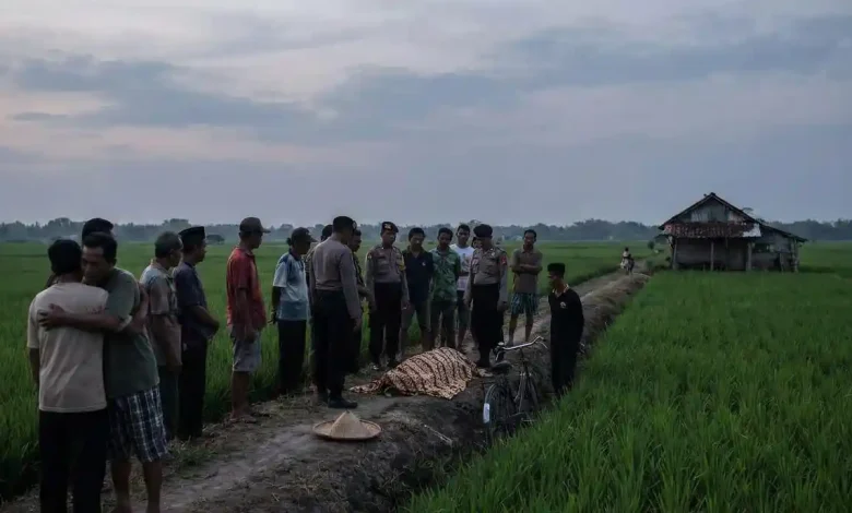 Lansia Ditemukan Meninggal di Gubuk Sawah Sumbawa