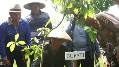 Bupati Jarot Safari Sumbawa Menanam Ke-VIII
