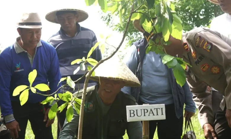 Bupati Jarot Safari Sumbawa Menanam Ke-VIII