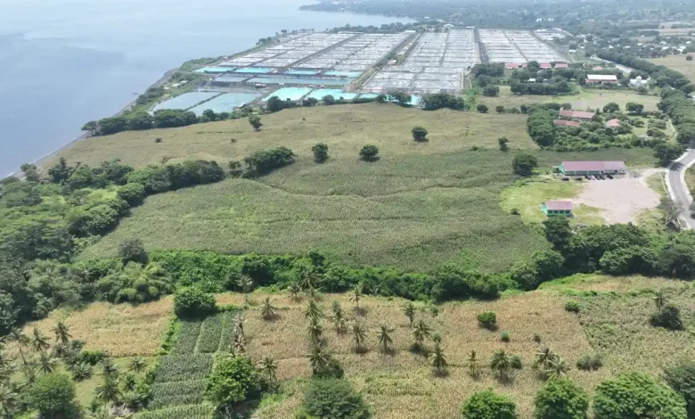 Pembangunan Sekolah Rakyat di KLU Lombok Utara