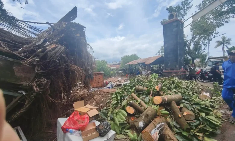 Pohon Tumbang Akibat Puting Beliung Terjang Mataram