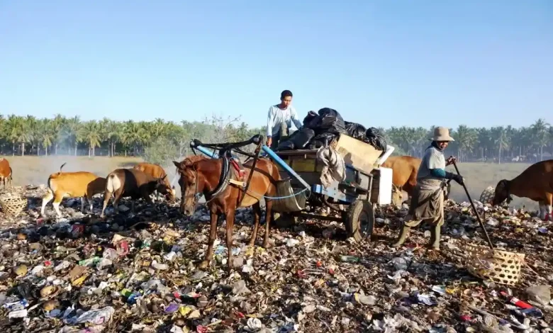 Tumpukan sampah di TPS Gili Trawangan