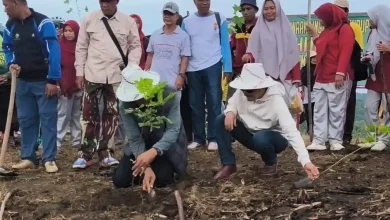 Program Sumbawa Hijau Lestari