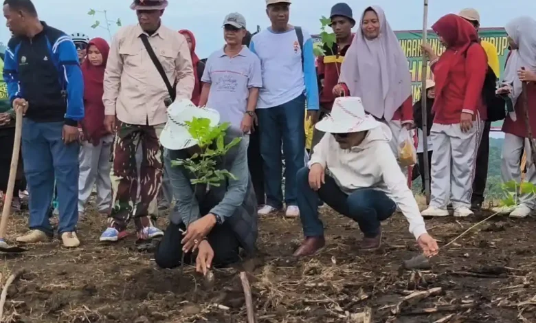 Program Sumbawa Hijau Lestari