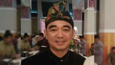 Arie Nauvel Iskandar Demokrasi