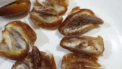 Dugaan Paket MBG Berulat di SMPN 2 Mataram