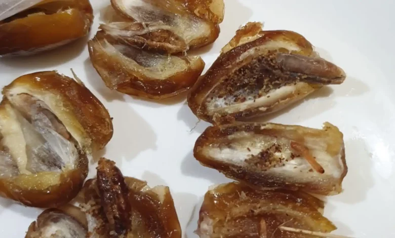 Dugaan Paket MBG Berulat di SMPN 2 Mataram