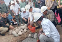 Groundbreaking Proyek Hilirisasi Unggas Terintegrasi Sumbawa Rp1,3 Triliun