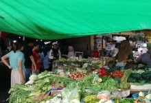 Harga Bahan Pokok Cabai Rawit di Mataram