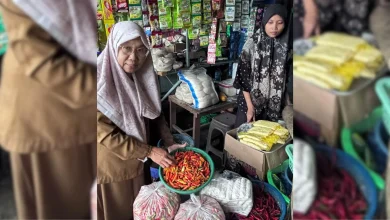 Kepala Bidang Perdagangan Dinas Perdagangan Lombok Barat Lale Widiani Harga Cabai