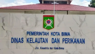 Dinas Kelautan dan Perikanan (DKP) Kota Bima membuka seleksi terbuka penyewaan aset daerah mulai 25 Februari 2026 hingga 2 Maret 2026.