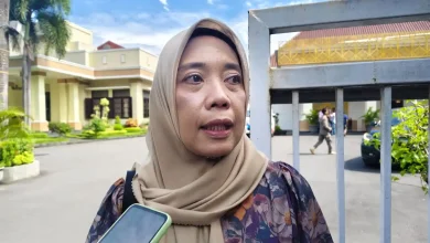 Kepala Dinas PUPR Kota Mataram Lale Widiahning Pemkot Pasang Batu Boulder