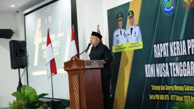 Wakil Ketua Komisi X DPR RI Lalu Hadrian Irfani SK Tuan Rumah PON XXII 2028 NTB-NTT