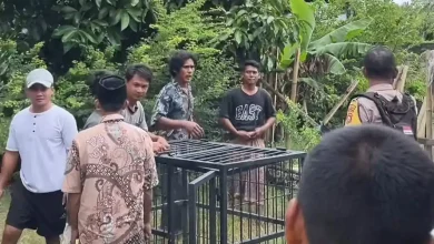Warga Desa Mertak Tolak Keberadaan Penampungan Anjing
