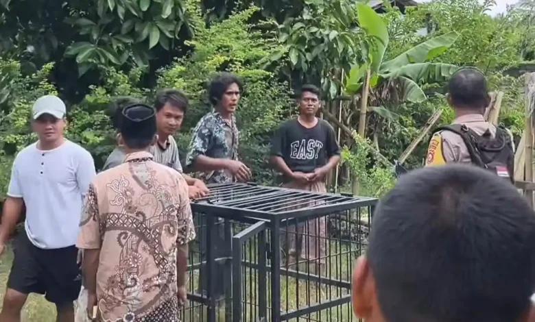 Warga Desa Mertak Tolak Keberadaan Penampungan Anjing