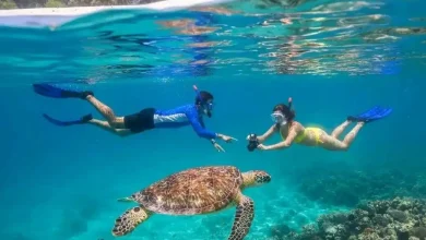 Gili Trawangan Jadi Destinasi Berenang Terbaik di Dunia 2026 Versi Forbes