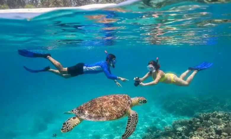 Gili Trawangan Jadi Destinasi Berenang Terbaik di Dunia 2026 Versi Forbes