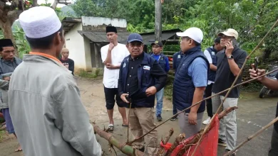 Dinas PUPRPKP Lombok Barat Gerak Cepat Bangun Jembatan Semi Permanen di Sekotong