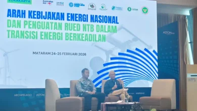 Anggota Dewan Energi Nasional DEN Saleh Abdurrahman