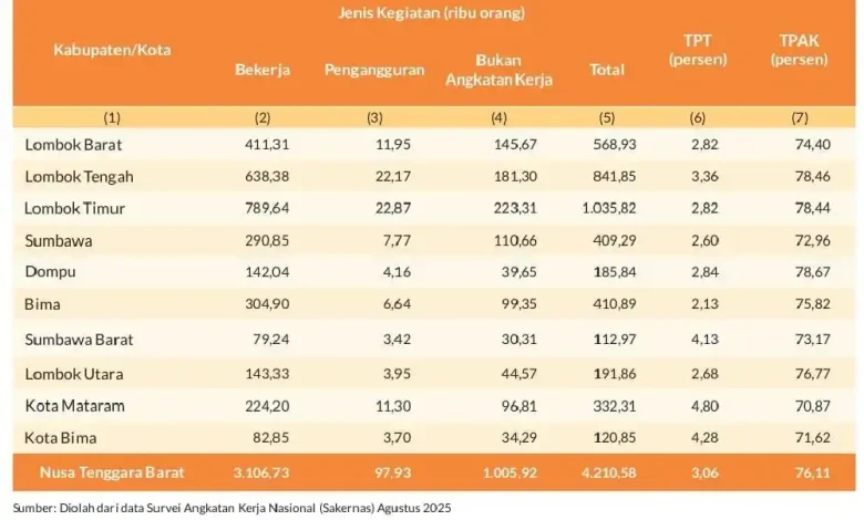 Daftar Daerah Paling Banyak Pengangguran di NTB Agustus 2025