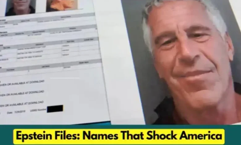 Jeffrey Epstein Pemilih Epstein Files