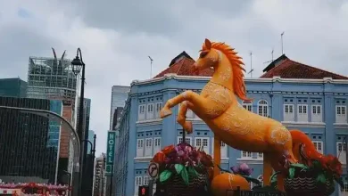 Shio Paling "Ciong" di Tahun Kuda Api 2026