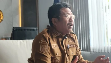 Bupati LAZ Ungkap Alasan Pegawai RSUD Tripat Dirumahkan