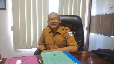Kepala Dinas Perikanan KSB Agus Purnawan Ikan Mati di Muara Boa