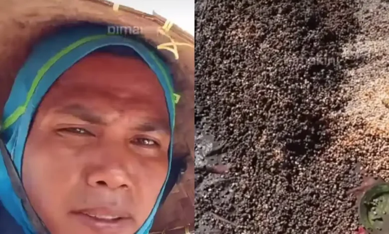 Petani Nata Kabupaten Bima