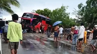 Bus PO Mulya Jaya Rute Mataram - Bima Kecelakaan di Plampang Sumbawa