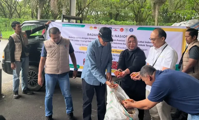 NTB Datangkan 1 Ton Lebih Cabai dari Sulawesi Selatan Stabilkan Harga
