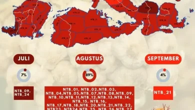 BMKG Ingatkan Potensi Kekeringan Ekstrem dan Ancaman Kemarau Panjang di NTB Mulai April 2026
