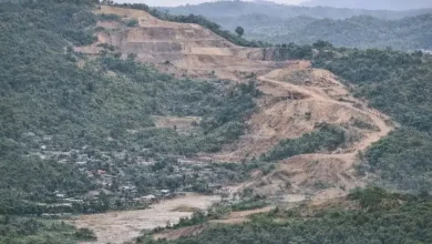 Bukit di Kawasan Mandalika DLH Loteng