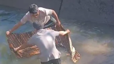 Bocah 6 Tahun di Narmada Ditemukan Meninggal di Saluran Air