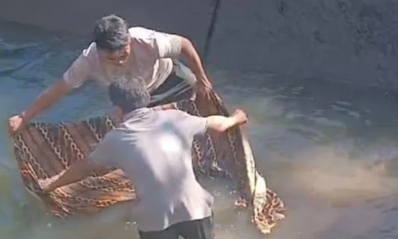 Bocah 6 Tahun di Narmada Ditemukan Meninggal di Saluran Air