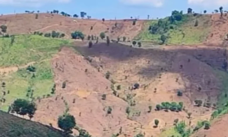 Hutan di Pulau Sumbawa NTB Dijarah Ditanami Jagung