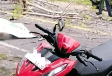 Korban Pohon Tumbang di Lombok Tengah