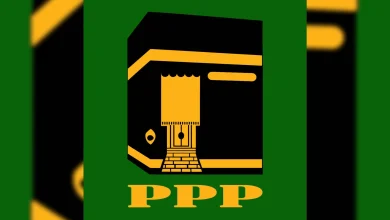 Logo PPP Konflik Internal di NTB