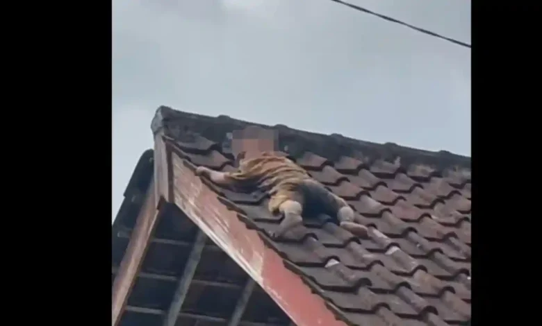 Seorang balita ditemukan merayap di atas atap rumah milik warga Kelurahan Gonjak, Kecamatan Praya, Kabupaten Lombok Tengah, NTB.