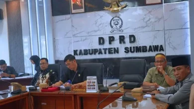Komisi II DPRD Sumbawa Larangan Tanam Jagung di Hutan