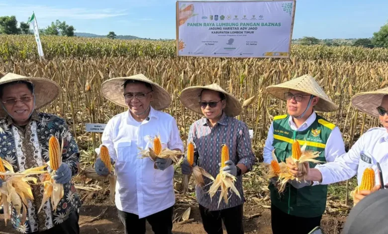 Panen Raya Baznas RI di Lombok Timur NTB