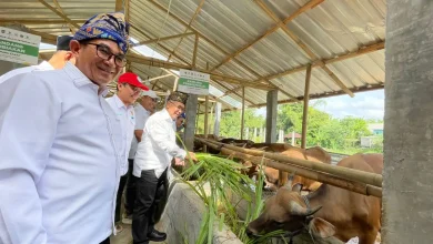 Program Balai Ternak Baznas RI di NTB