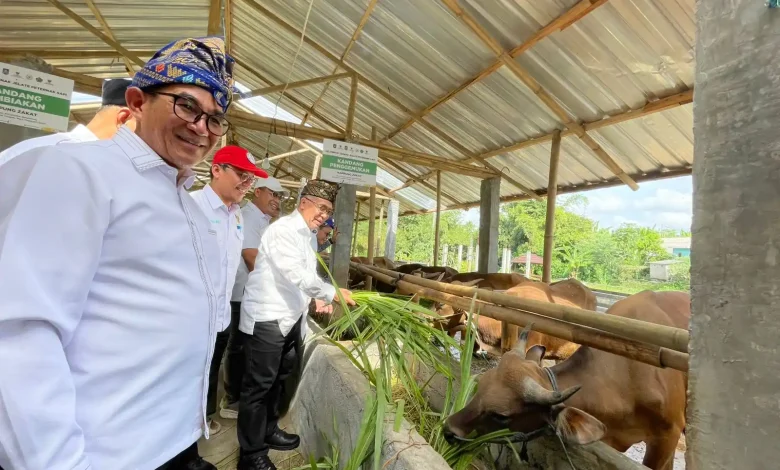 Program Balai Ternak Baznas RI di NTB