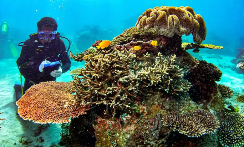 AMMAN Raih Predikat PROPER Hijau 2026