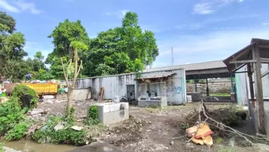 Kondisi KPH Kediri yang Terlantar