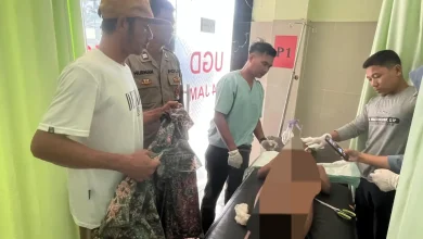 Bocah 10 Tahun di Lombok Timur Meninggal Dunia Akibat Serangan Anjing Liar