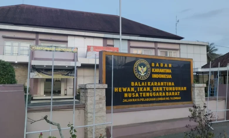 Balai Karantina Hewan Ikan dan Tumbuhan NTB Pengiriman Sapi