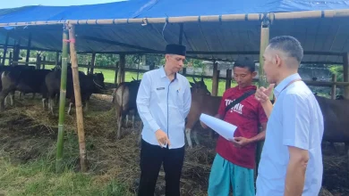 Dinas Pertanian Kota Mataram Gandeng Dokter Hewan Pantau 70 Titik Penjualan Kurban