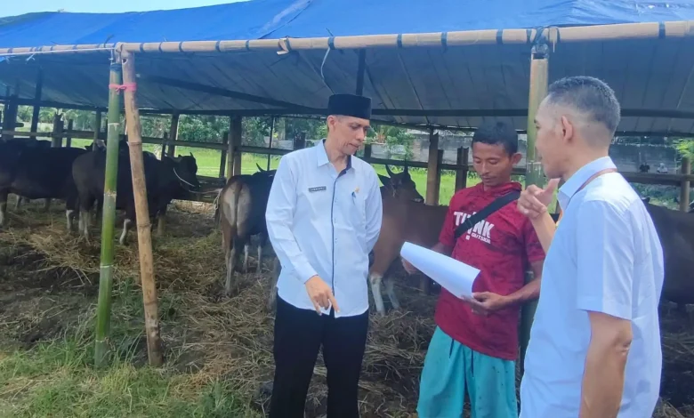 Dinas Pertanian Kota Mataram Gandeng Dokter Hewan Pantau 70 Titik Penjualan Kurban