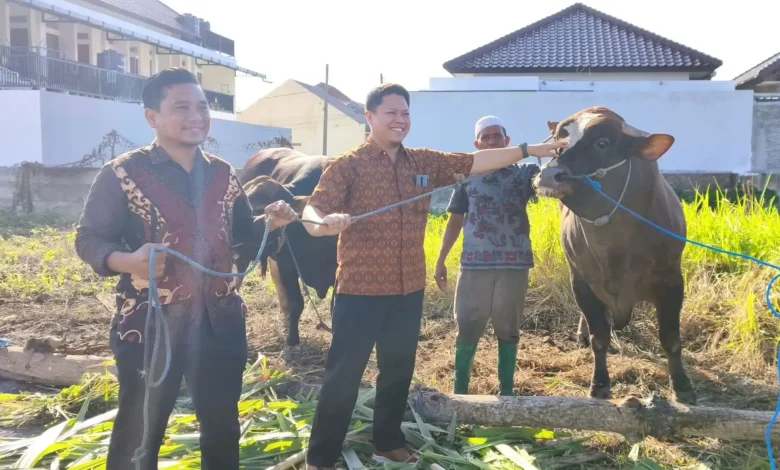 Bank Dinar Salurkan 25 Sapi Kurban Limosin Senilai Rp1 Miliar untuk Masyarakat NTB
